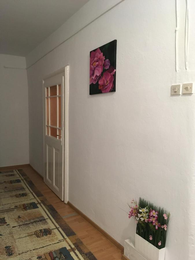 House Centrul Istoric Ll Lägenhet Sibiu Exteriör bild